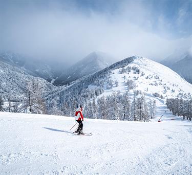 Image for: JOURNEE PROMO